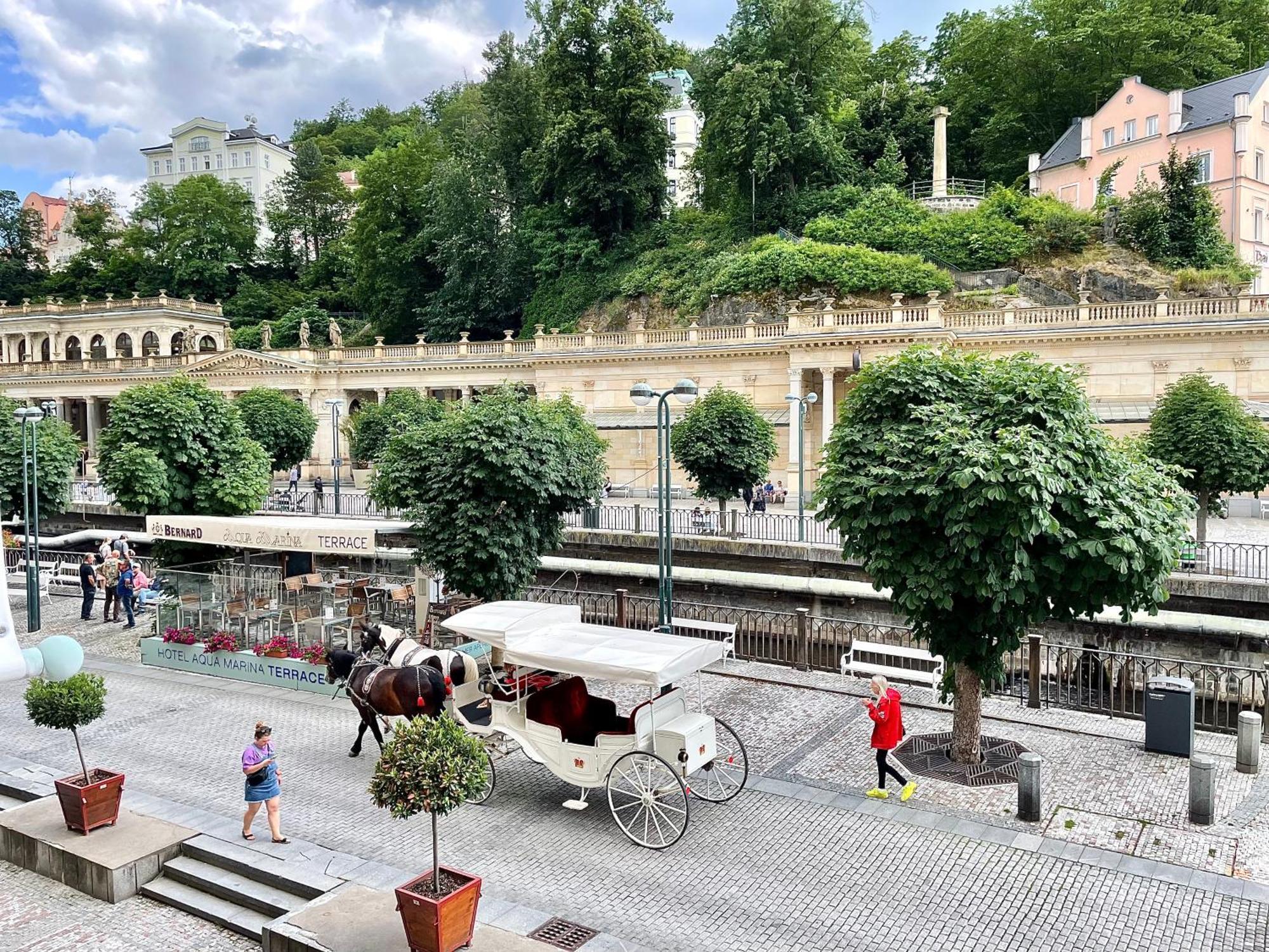 Carlsbad Grand Studio Michal Karlovy Vary Exteriér fotografie